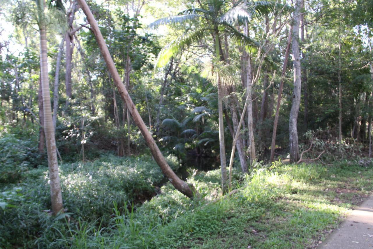 Paperbark Bed & Breakfast Μπρίσμπεϊν Εξωτερικό φωτογραφία